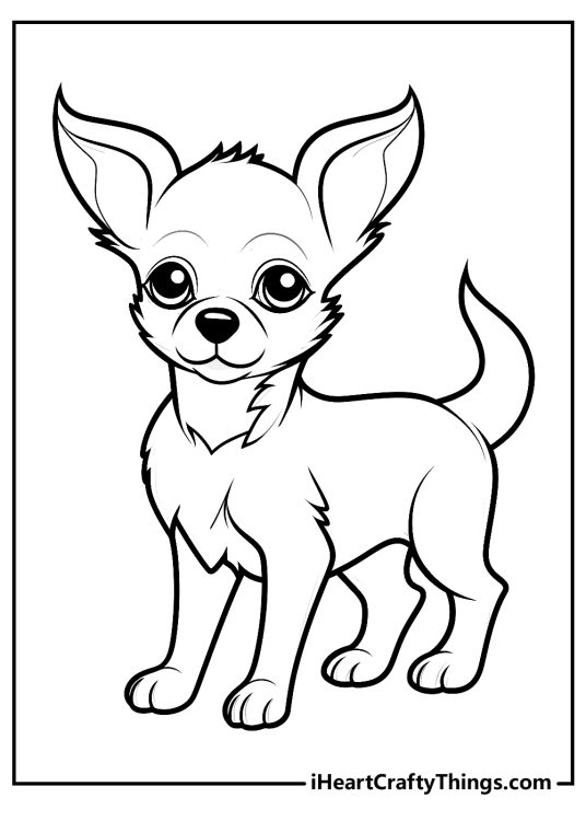 Coloring sheet for children showing a sweet and cheerful chihuahua with a small body and large ears