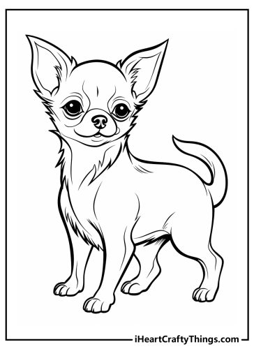 Chihuahua Coloring Pages (100% Free Printables)