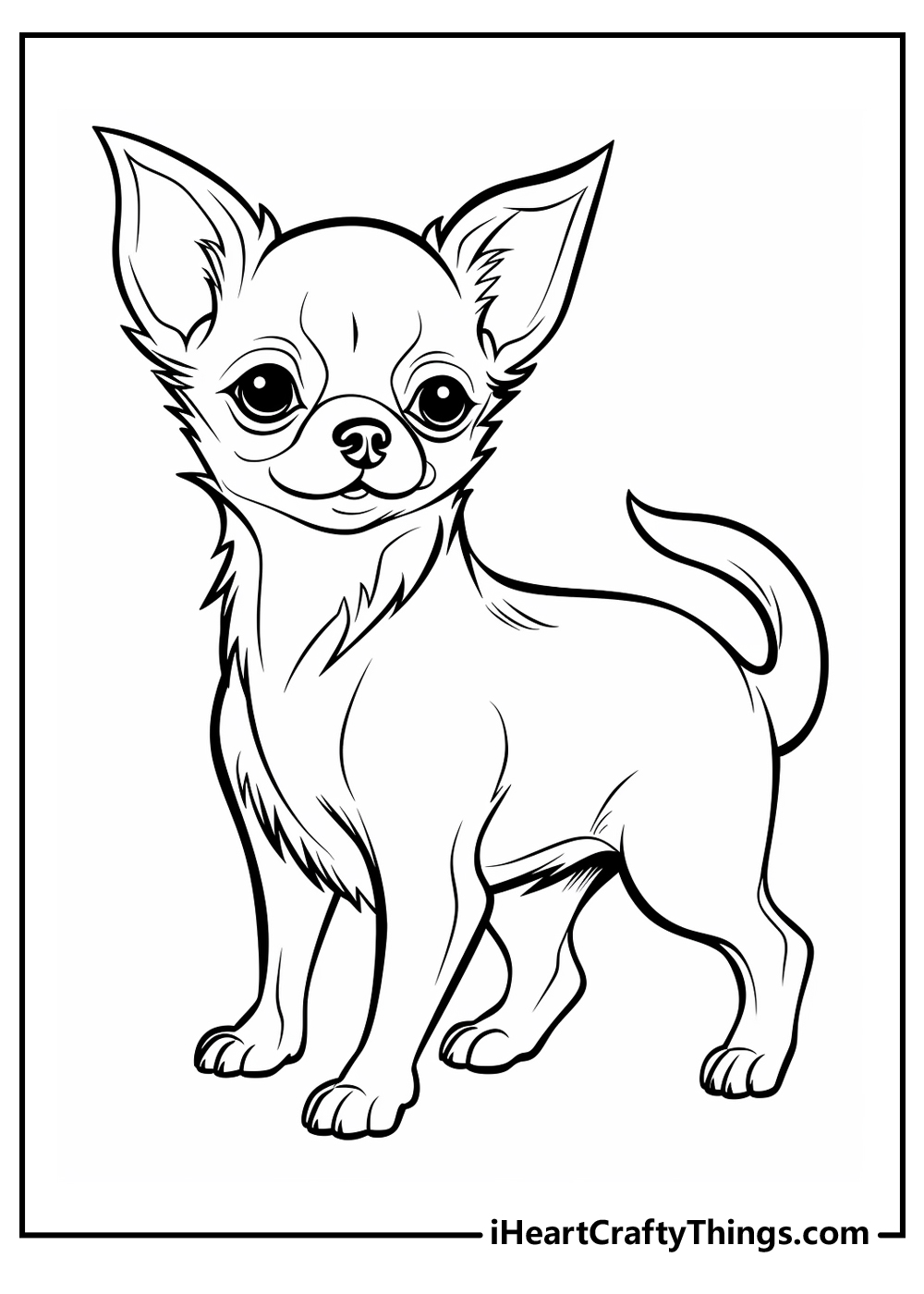 black-and-white chihuahua coloring sheet
