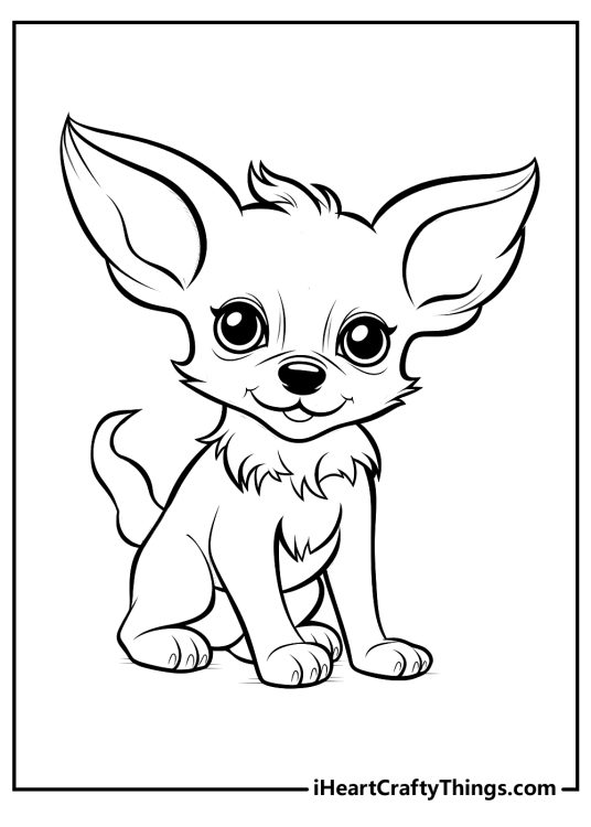Coloring image of a cute realistic chihuahua with a tuft of fur on its chest and big ears