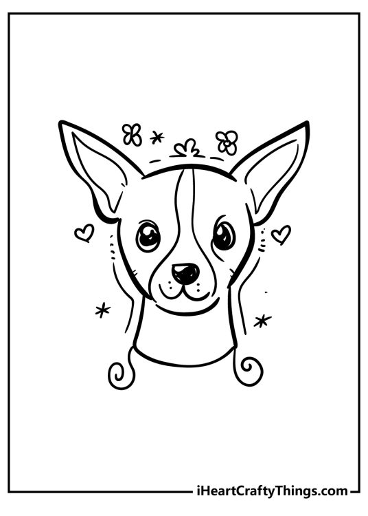 Picture featuring a close-up of the face of a cute chihuahua surrounded by little hearts and flowers