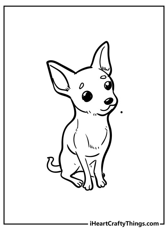 Coloring picture capturing adorable little chihuahua puppy sitting and facing right side