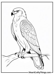 Hawk Animals Coloring Pages (100% Free Printables)