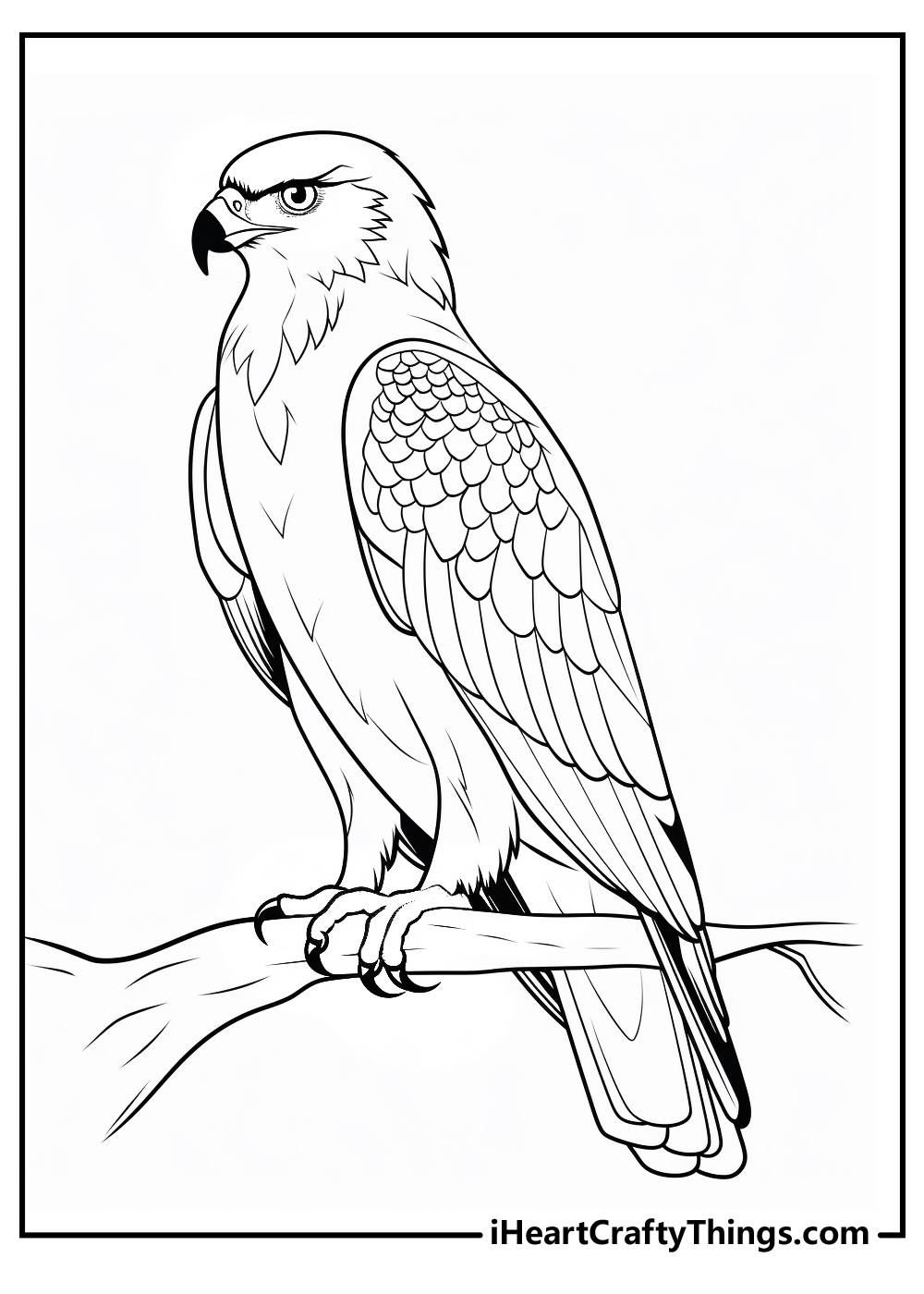 original hawk coloring pages