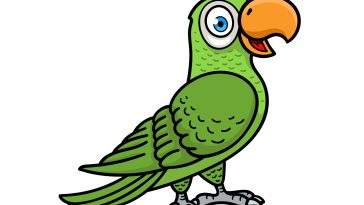 how to draw a cartoon parrot image
