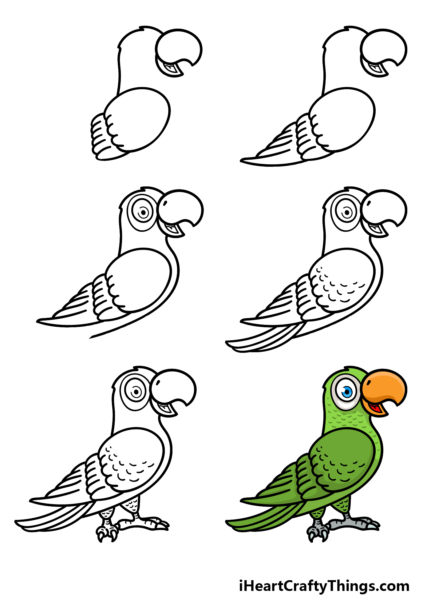 how to draw a cartoon parrot in 6 steps