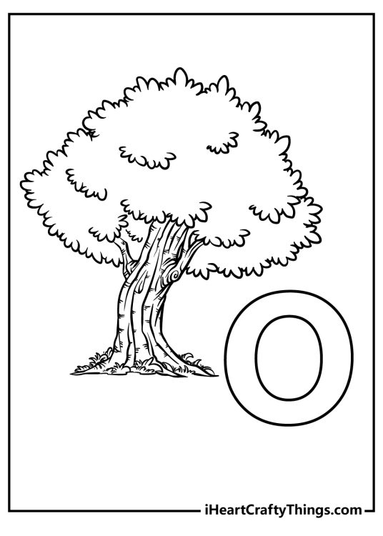Detailed drawing for children of a mighty oak with a letter O on the right side