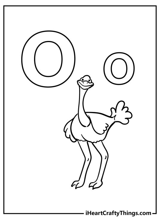 Printable sheet featuring cute and smiling ostrich with an uppercase and lowercase letter O