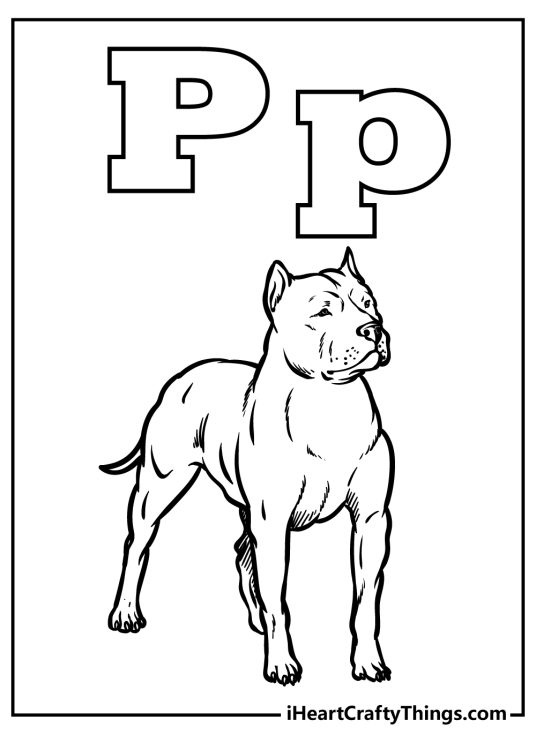 Letter P coloring picture featuring uppercase and lowercase letters P and a pitbull beneath