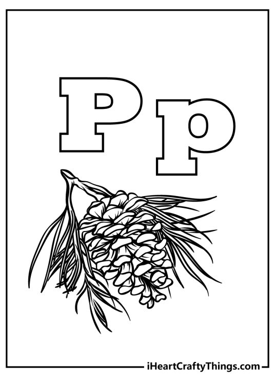 Black-and-white drawing featuring letters P and a pinecone made up of lots of small pieces