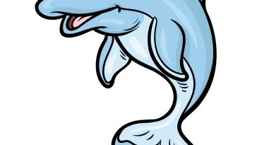how to draw a cartoon dolphin image