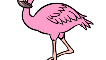 how to draw a cartoon flamingo image