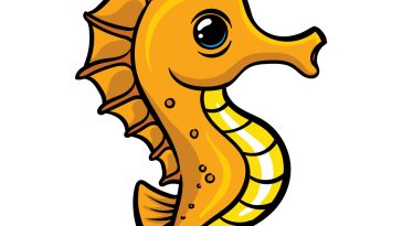how to draw a cartoon seahorse image