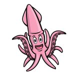 how to draw a cartoon squid image