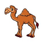how to draw a cartoon camel image