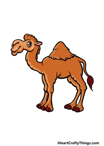 how to draw a cartoon camel image