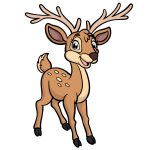 how to draw a cartoon deer image