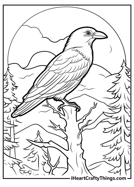 Raven Coloring Pages (100% Free Printables)