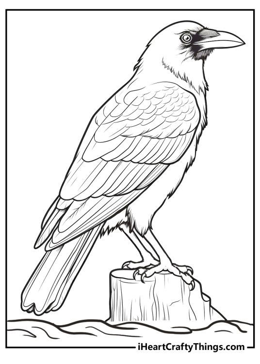 Detailed printable pdf of a majestic raven perched nobly on a mossy tree stump facing right