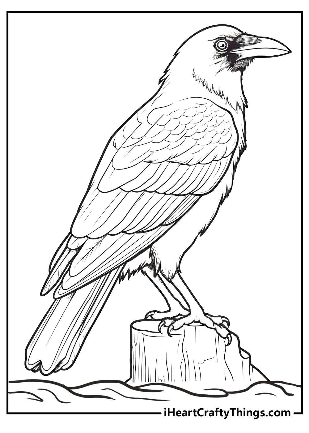 raven coloring sheet free download