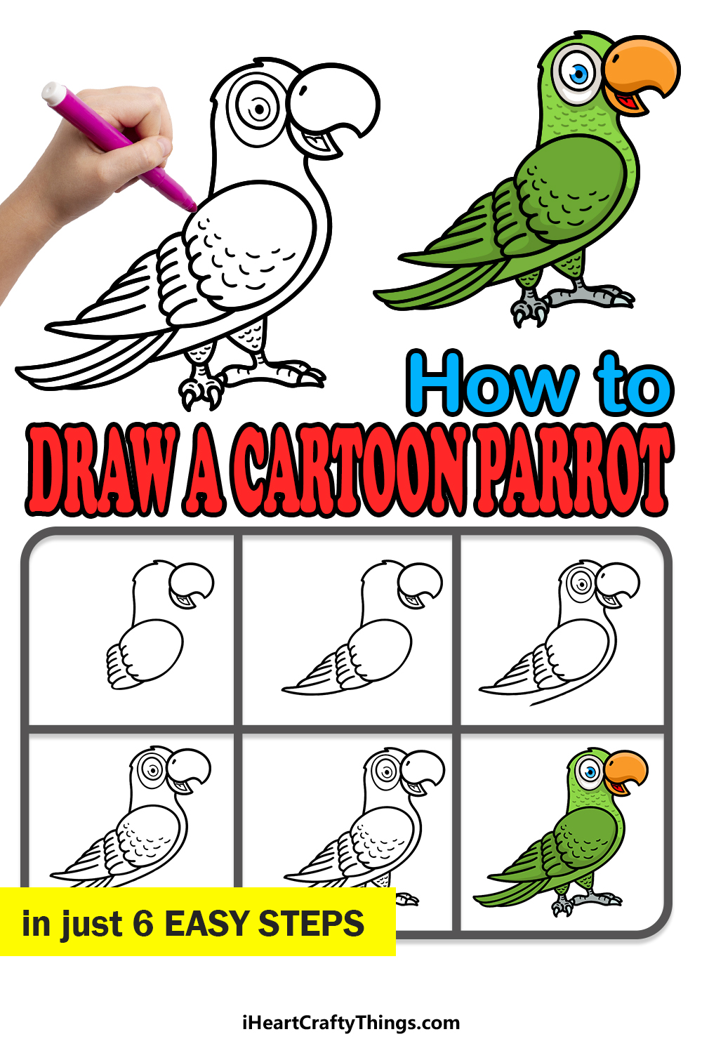 how to draw a cartoon parrot in 6 easy steps
