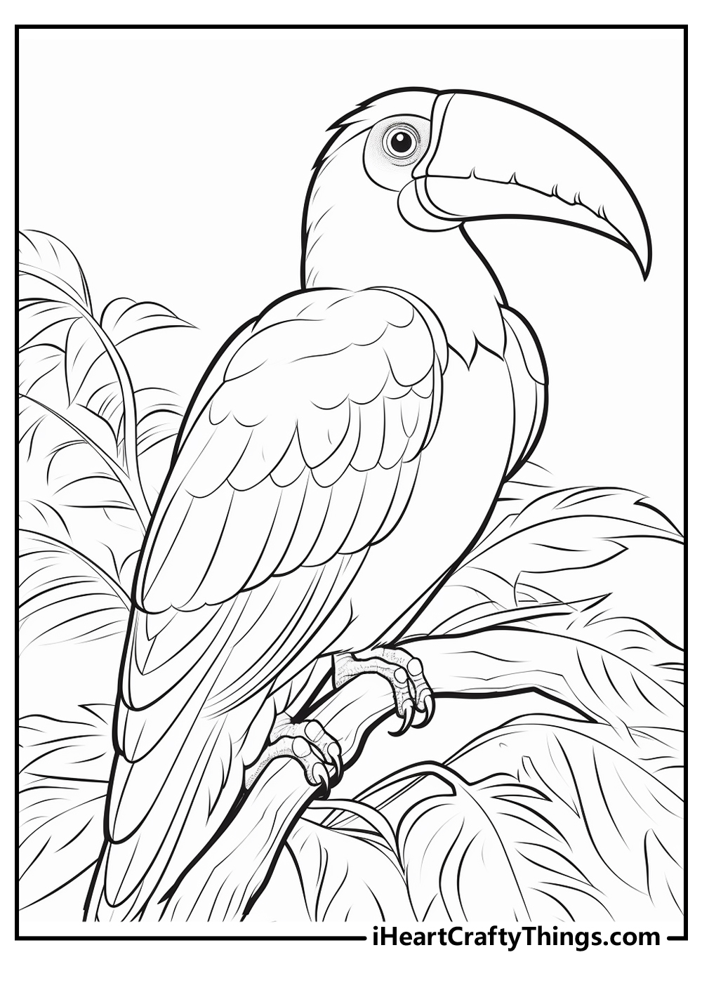 new tropical coloring pages for kids