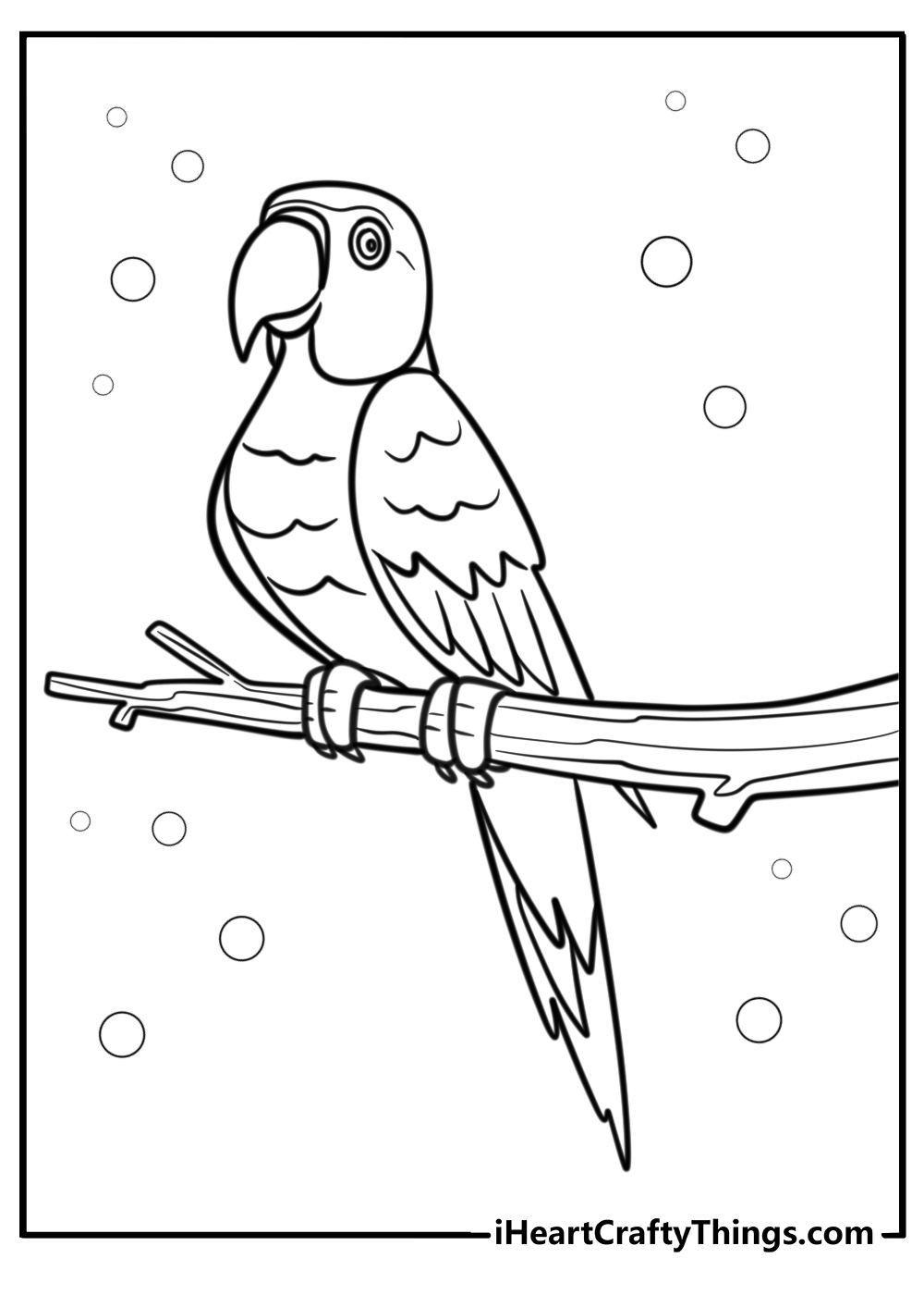 Parrot sitting on a branch free printable zoo coloring page