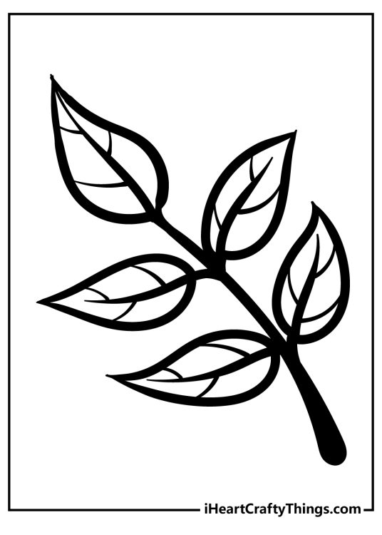Free leaf-themed coloring printable featuring five small leaves on a central branch