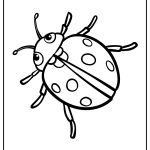Ladybug Coloring Pages free printable