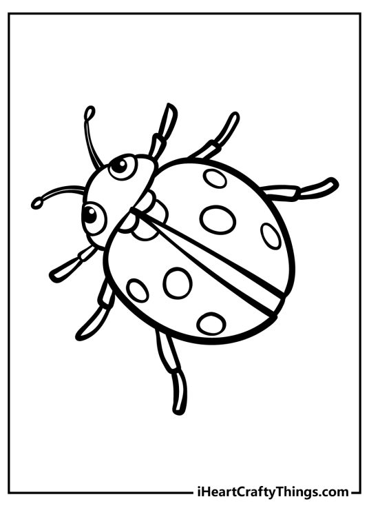 Ladybug Coloring Pages (100% Free Printables)