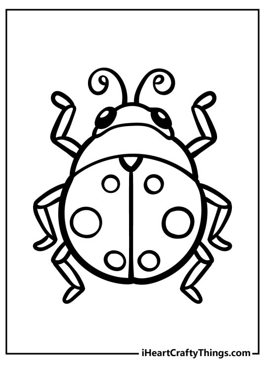 Ladybug Coloring Pages (100% Free Printables)