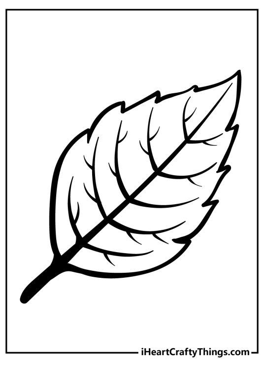 Leaf Coloring Pages (100% Free Printables)