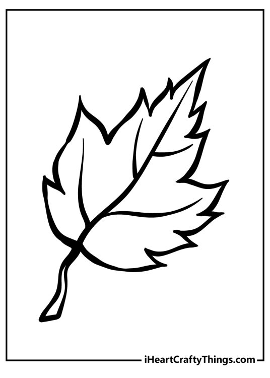 Leaf-themed coloring picture for children featuring wonderful specimen with pointy outlines