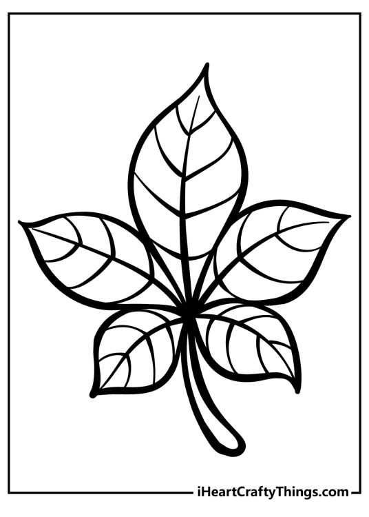 Printable coloring picture featuring leaf with five separate different size sections