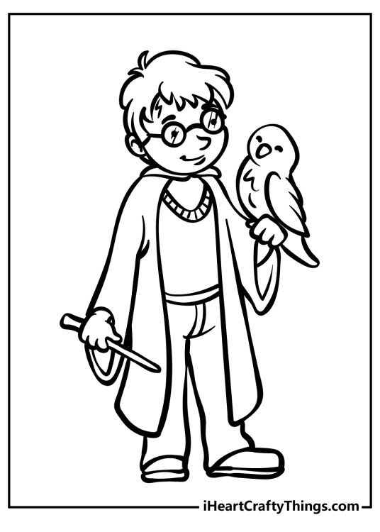 Printable coloring sheet featuring Harry Potter joined by his beloved owl Hedwig