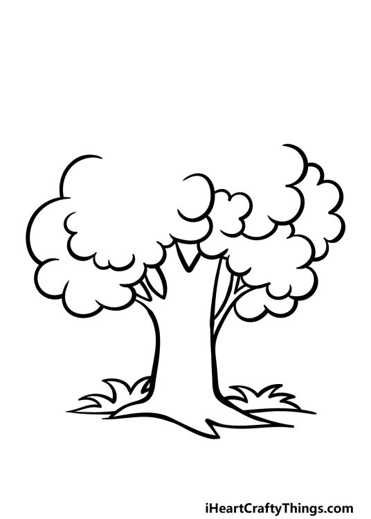 Cartoon Tree Drawing - How To Draw A Cartoon Tree Step By Step