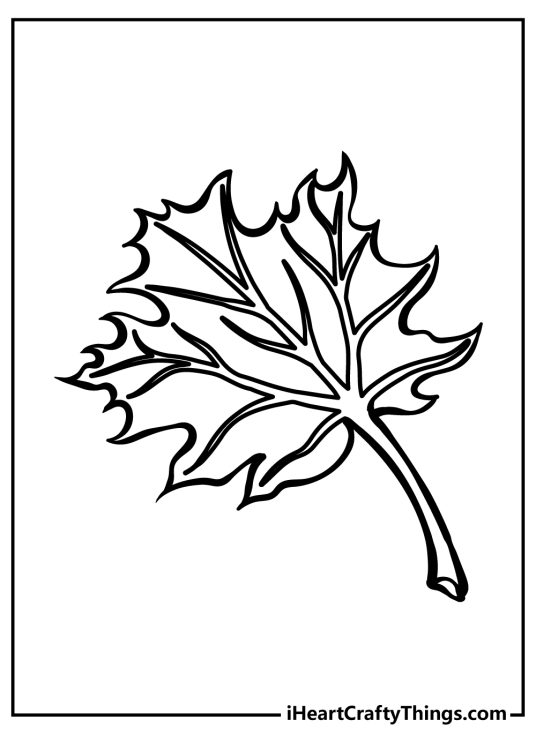 Coloring page for children featuring realistic maple leaf with some pointy outlines