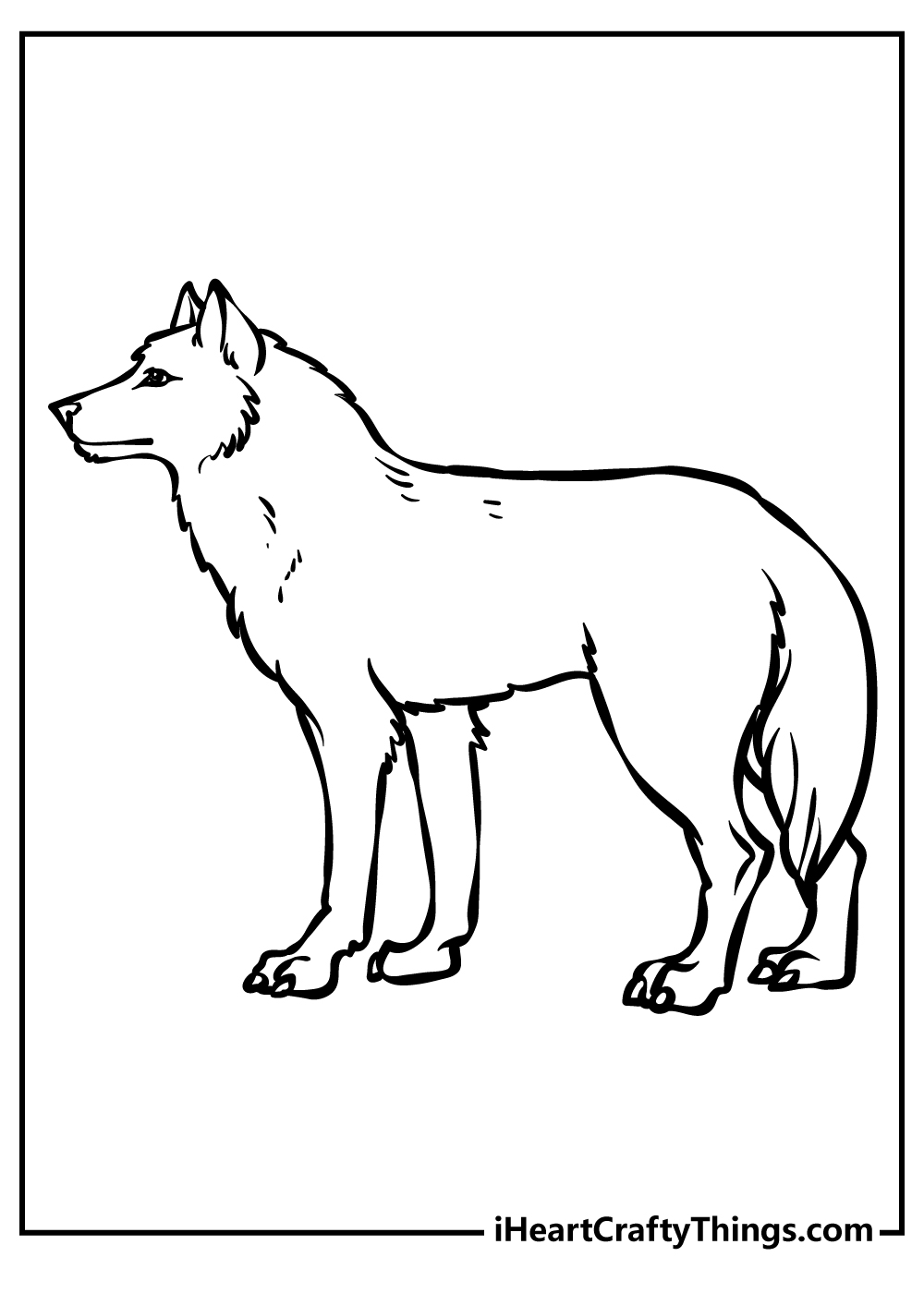 Free page to print and color featuring a majestic adult wolf looking pretty calm