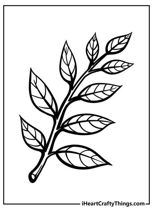Detailed black-and-white image to color featuring tree branch with many small leaves