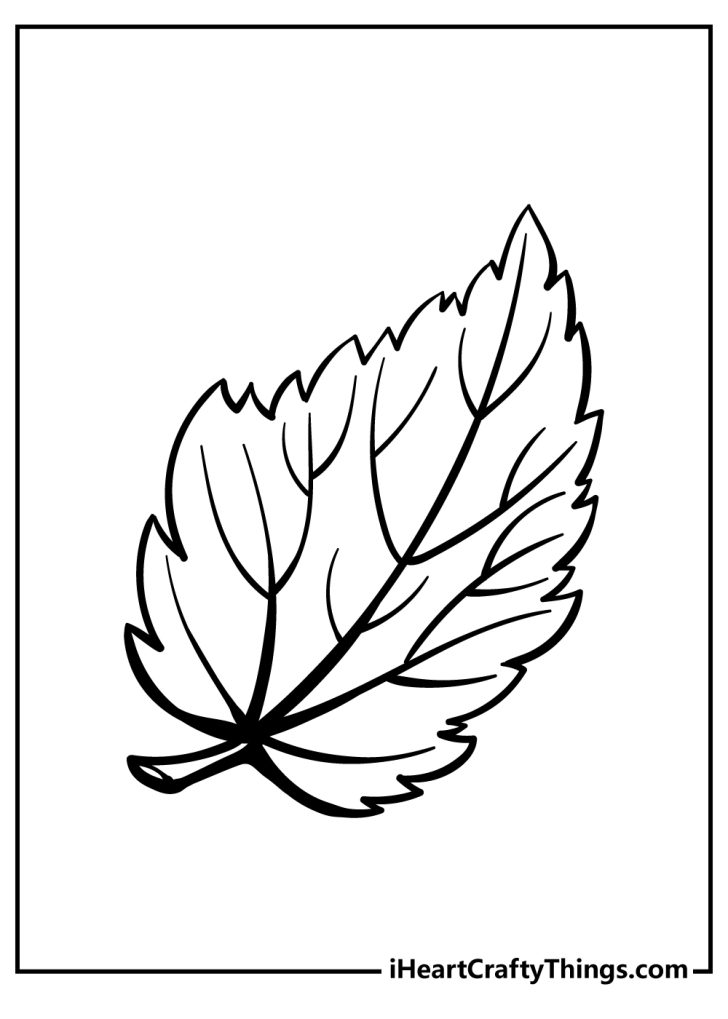 Leaf Coloring Pages (100% Free Printables)