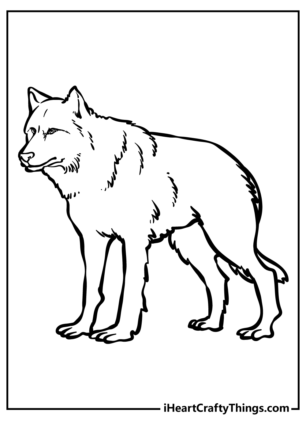 Coloring picture featuring highly detailed and realistic wolf with blank background