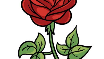 how to draw a cartoon rose image
