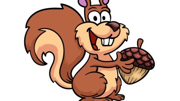 how to draw a cartoon squirrel image
