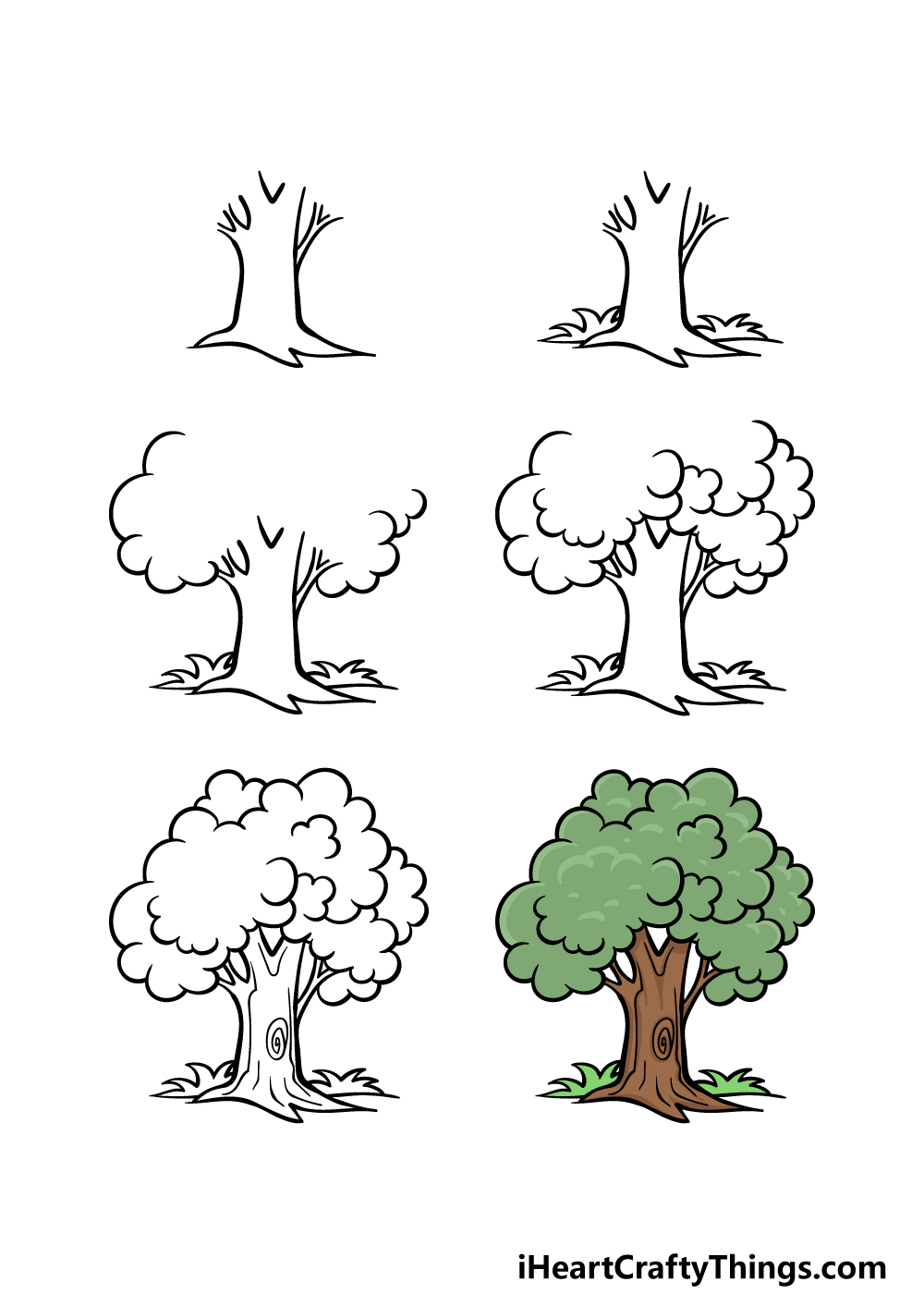 how to draw a cartoon tree in 6 steps
