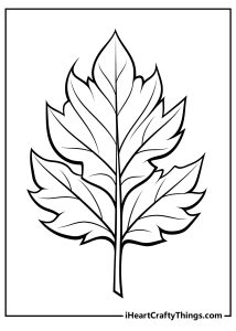 Leaf Coloring Pages (100% Free Printables)
