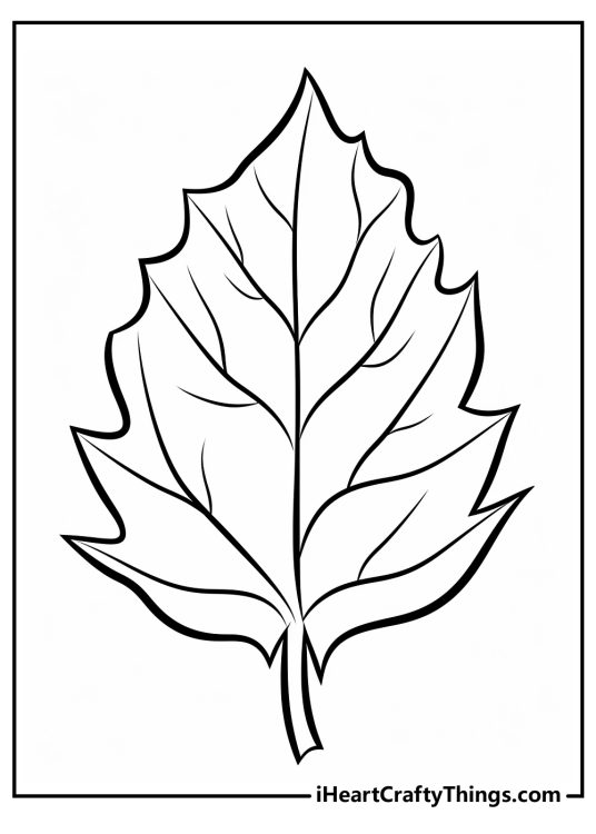 Leaf-themed printable drawing featuring beautiful Fall leaf with some pointy edges