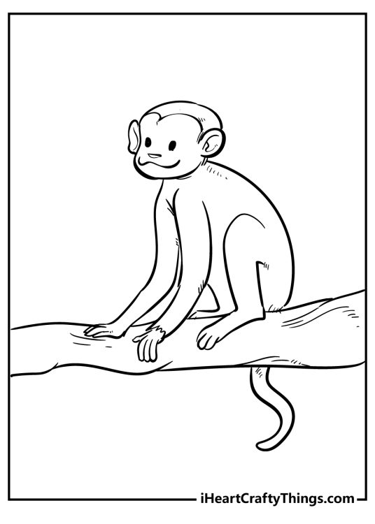 Printable coloring sheet depicting relaxed adult monkey sitting on a tree branch