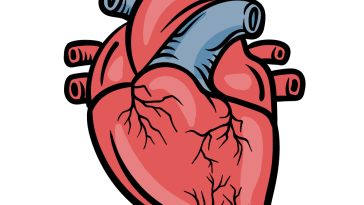 how to draw a cartoon heart image