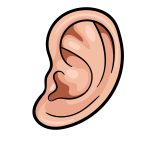how to draw a cartoon ear image