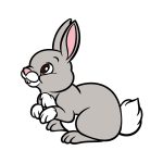 how to draw a cartoon rabbit image